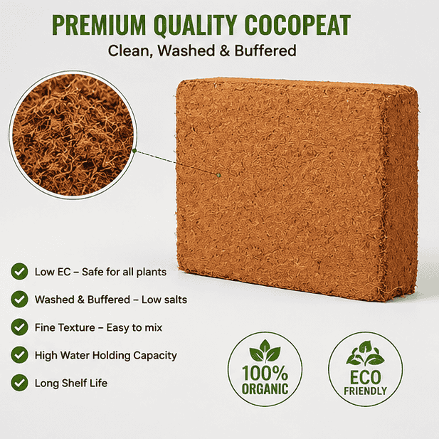 Coco Coir Brick, Buffered Cocopeat 100 Gm Each Piece ( Pack Of 3 )